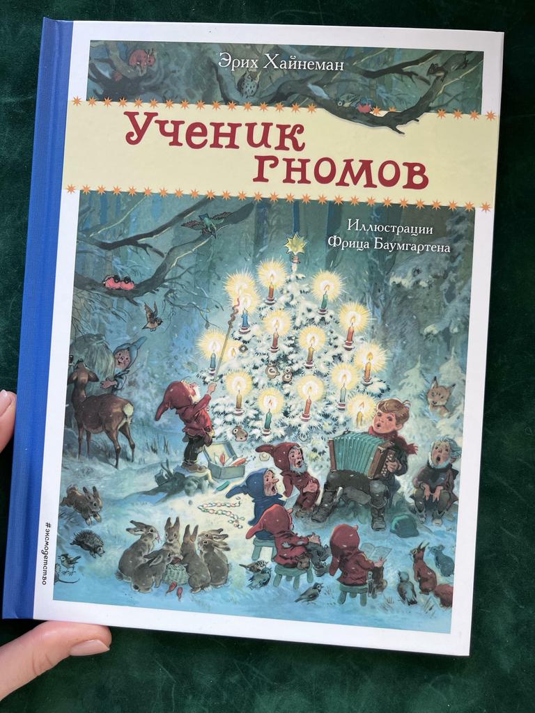 Ученик гномов