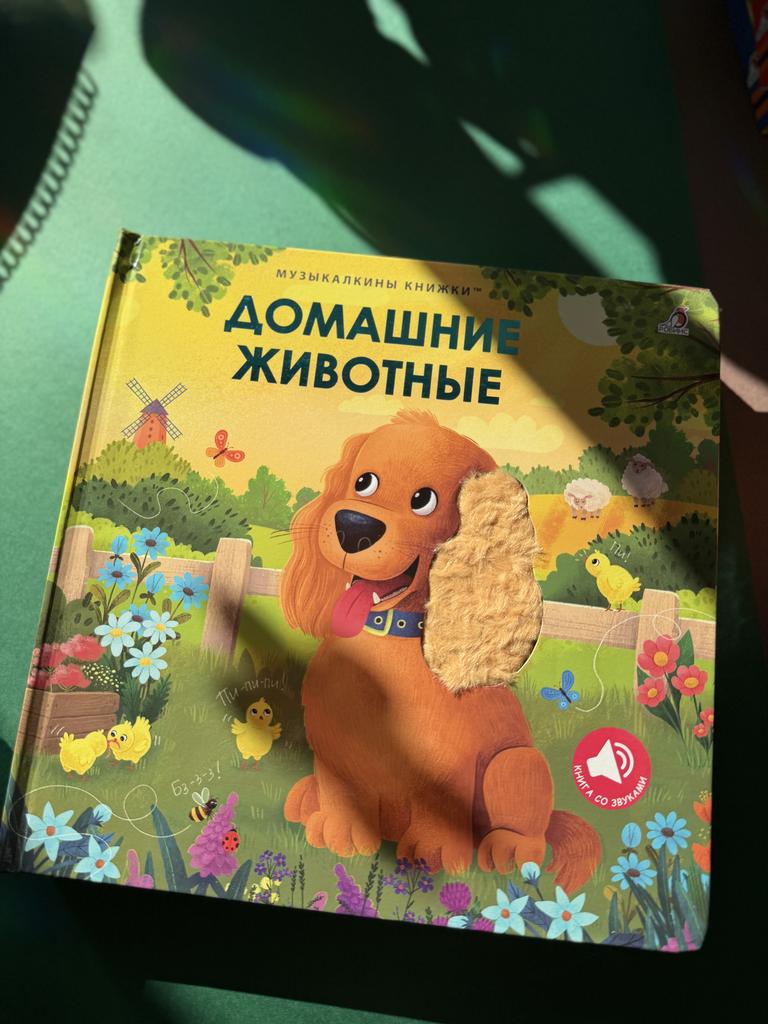 Домашние животные. Музыкалкины книжки