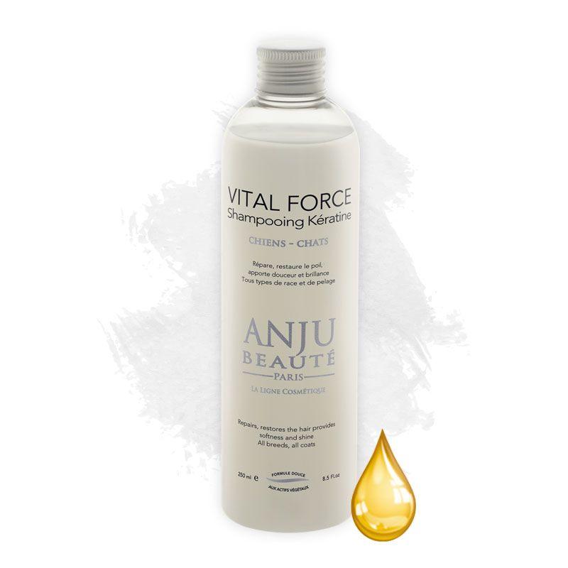 Anju Beauté Vitale Force Shampoo, 250 ml