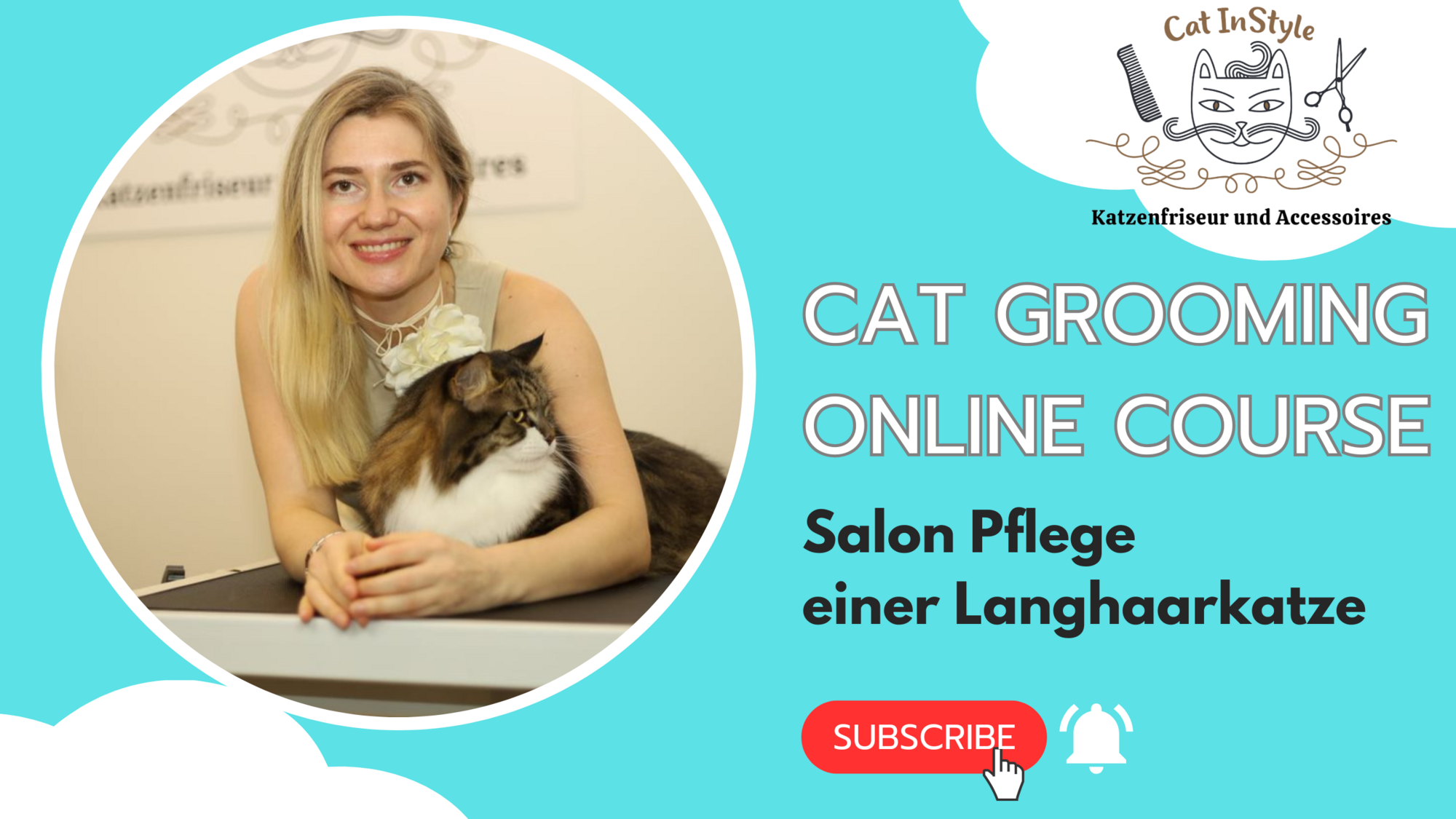 2 Online Kurse in der Salonpflege einer Kurzhaarkatze und einer Langhaarkatze