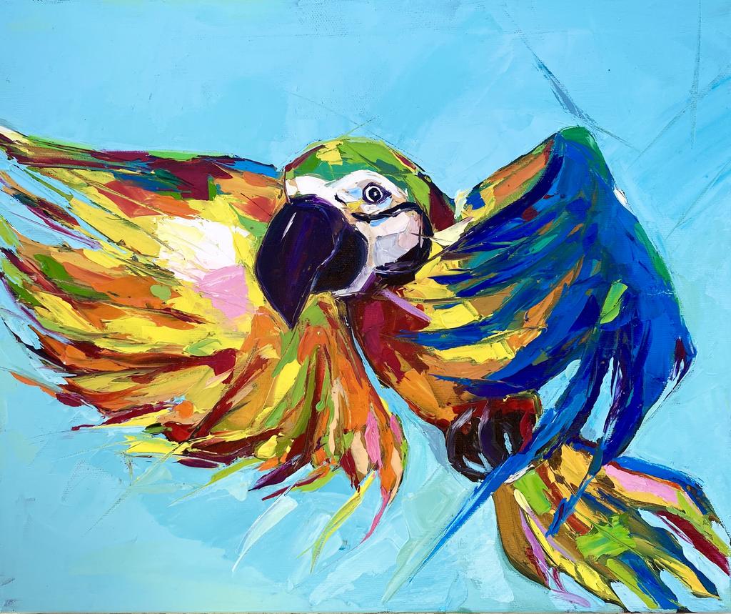 Rainbow Bird In a Blue Sky