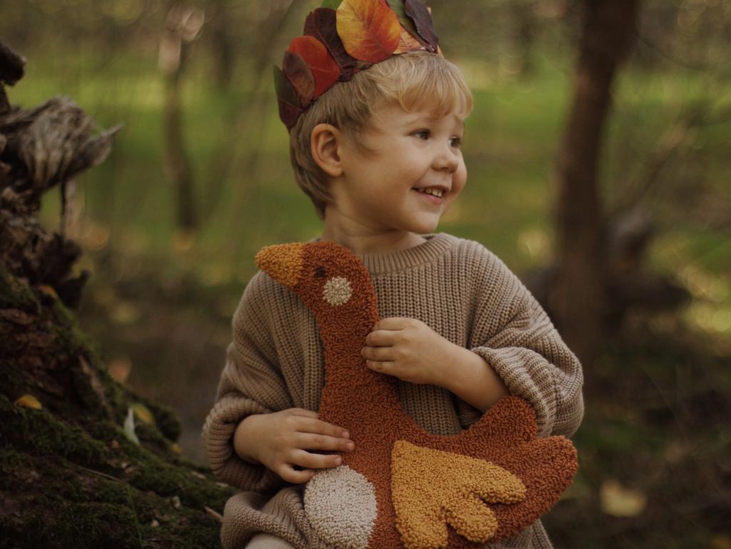 ПТАШКА ФРАНЧЕСКА МІДНА