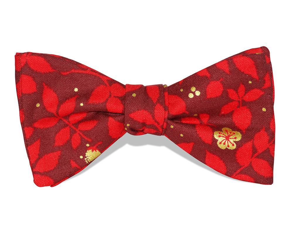 Галстук-бабочка №791