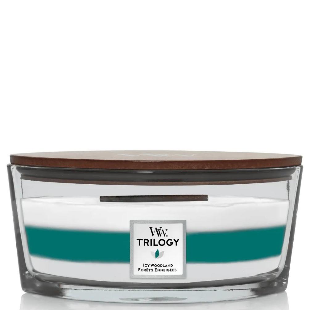 WOODWICK Ellipse Icy Woodland - Ароматична свічка з деревними нотами