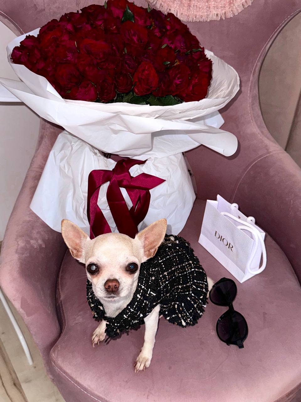 Сукня для собак твідова чорна