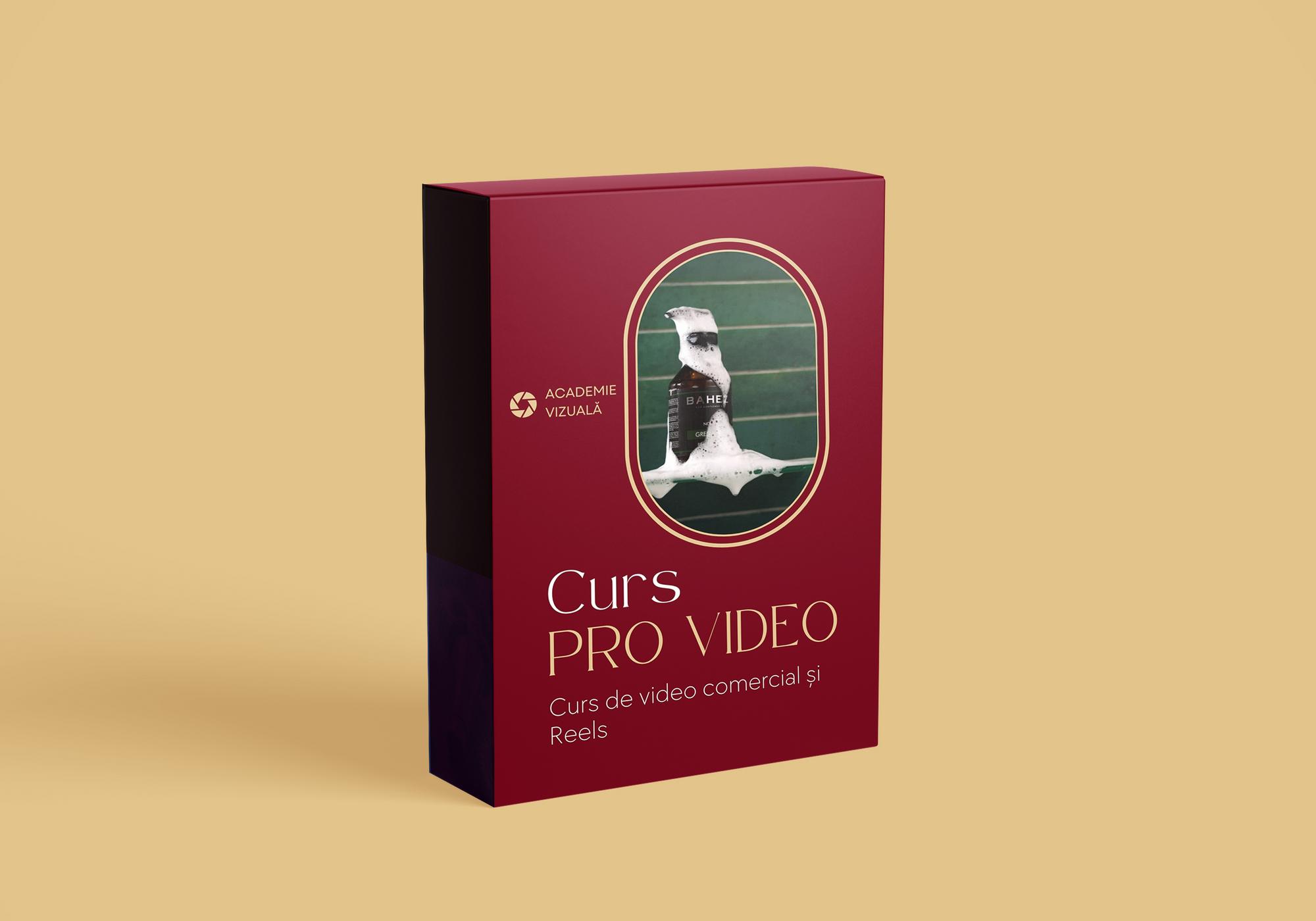 Cursul online- Pro Video