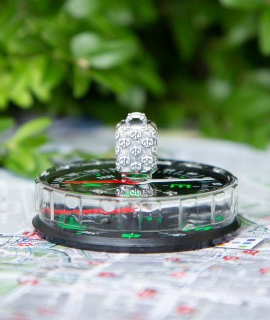 Travel Case Silver