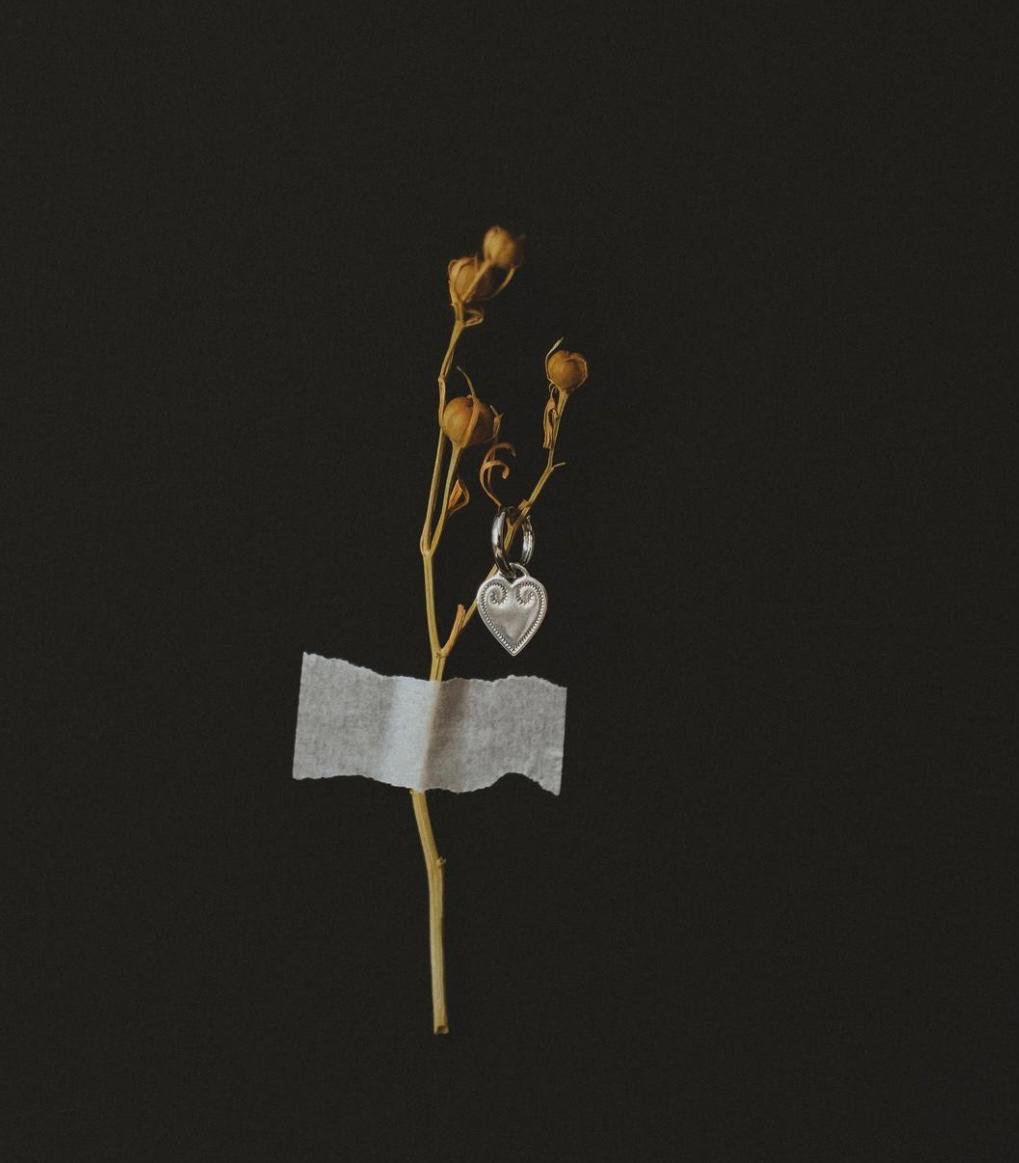 Серьги Alau серебро 925