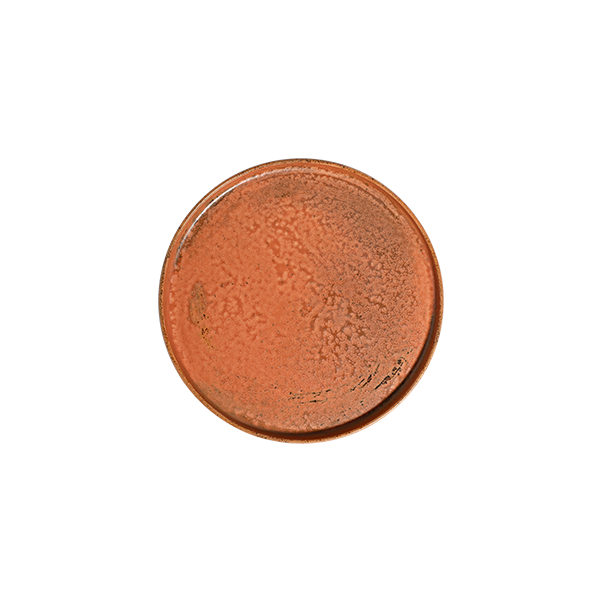 Тарелка с вертикальным бортом 25,5 см ID FINE, Fall Terra (6)
