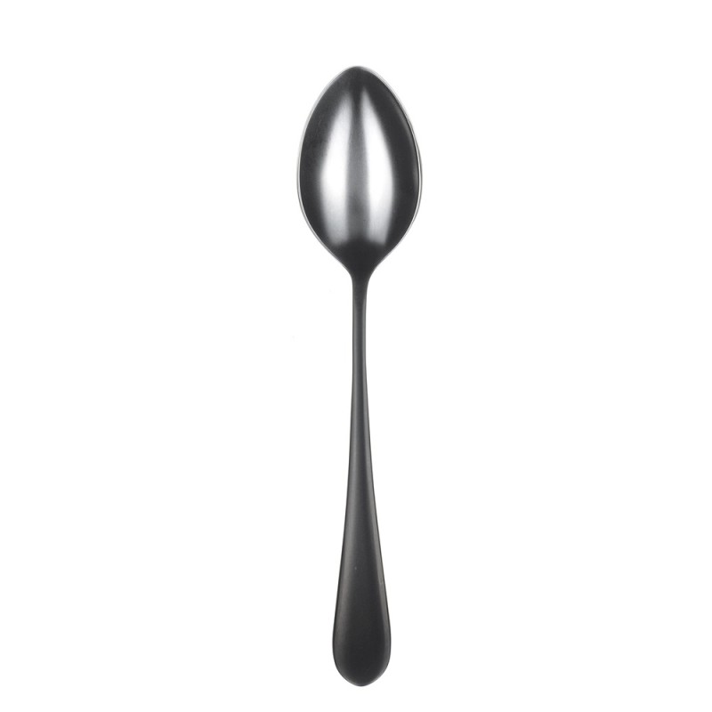Ложка столовая 21 см NARIN, Epsilon Matt Black PVD