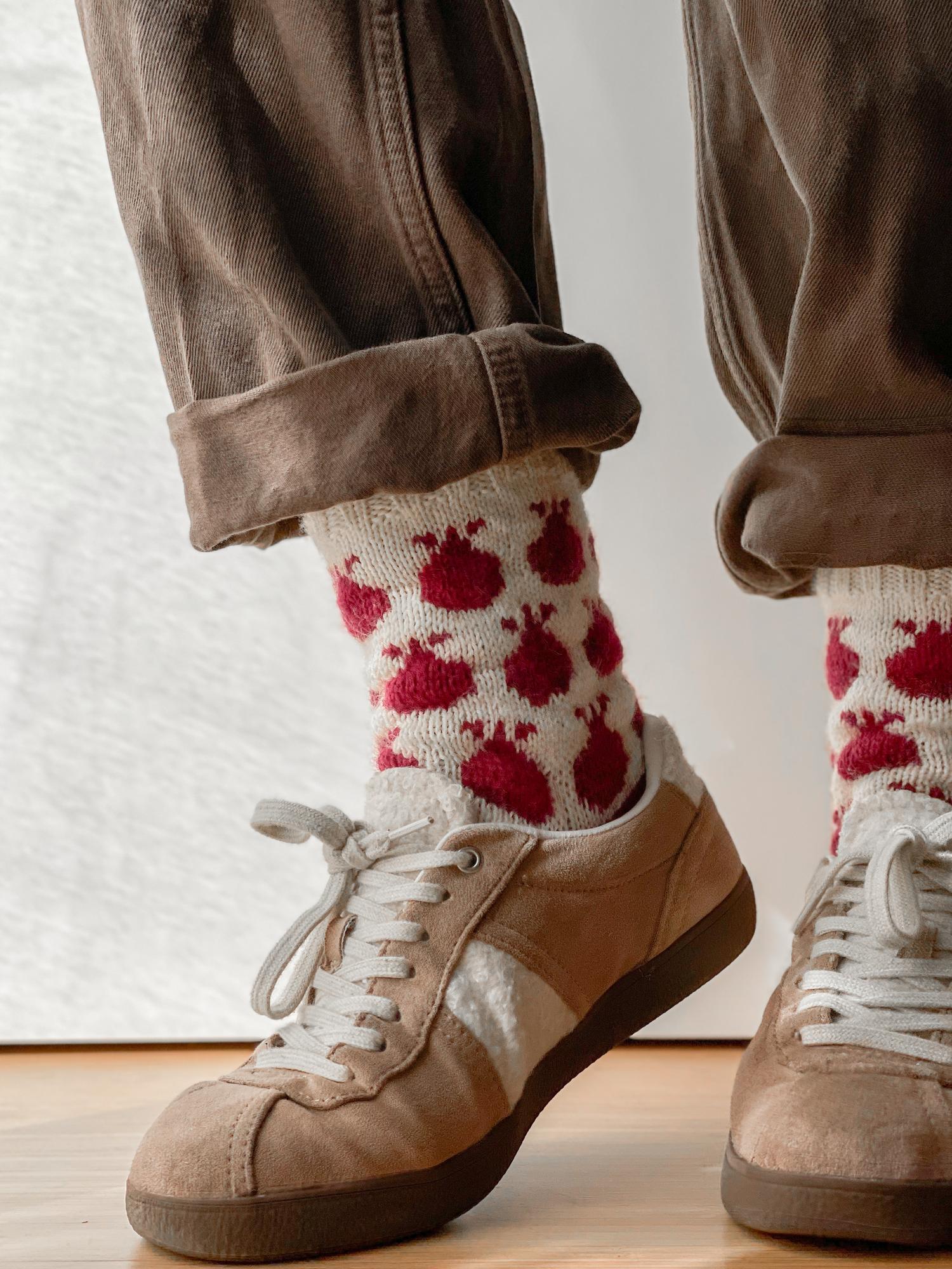Pomegranate socks