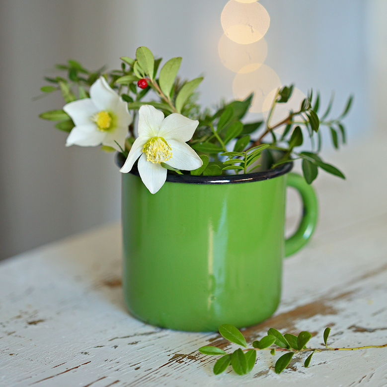 Кружка емальована зелена 0,3л