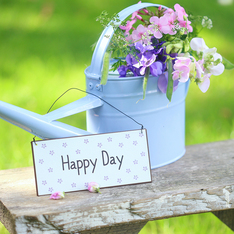 Табличка металлическая HAPPY DAY Ib Laursen