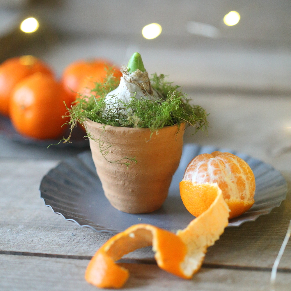 Горщик міні керамічний 6см Ib Laursen