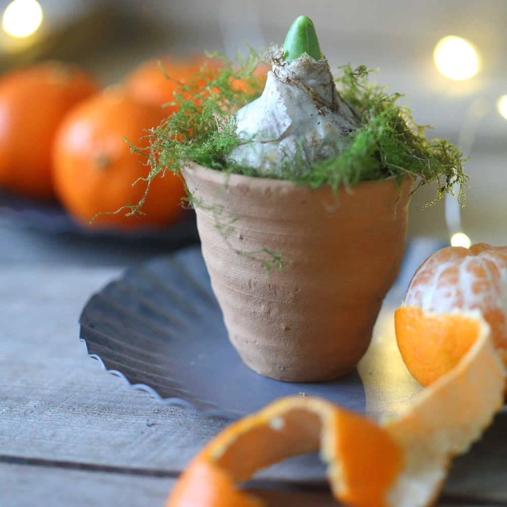 Тарілочка-піднос оцинкована 16,5см Ib Laursen