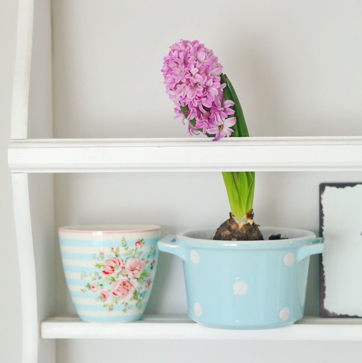 Форма для випікання голуба у горох кругла з ручками 13см Isabelle Rose