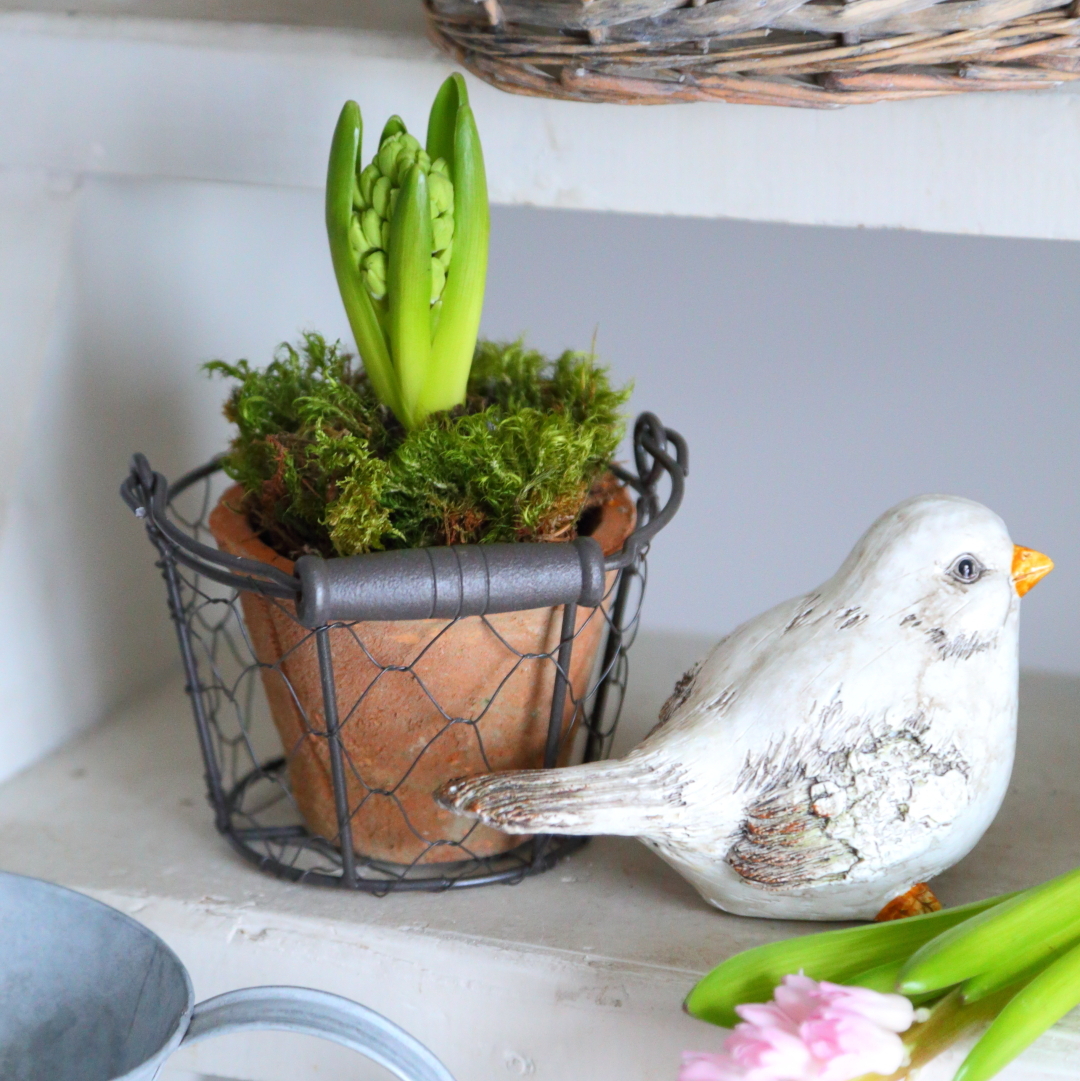 Горщик у корзинці 12см Canea