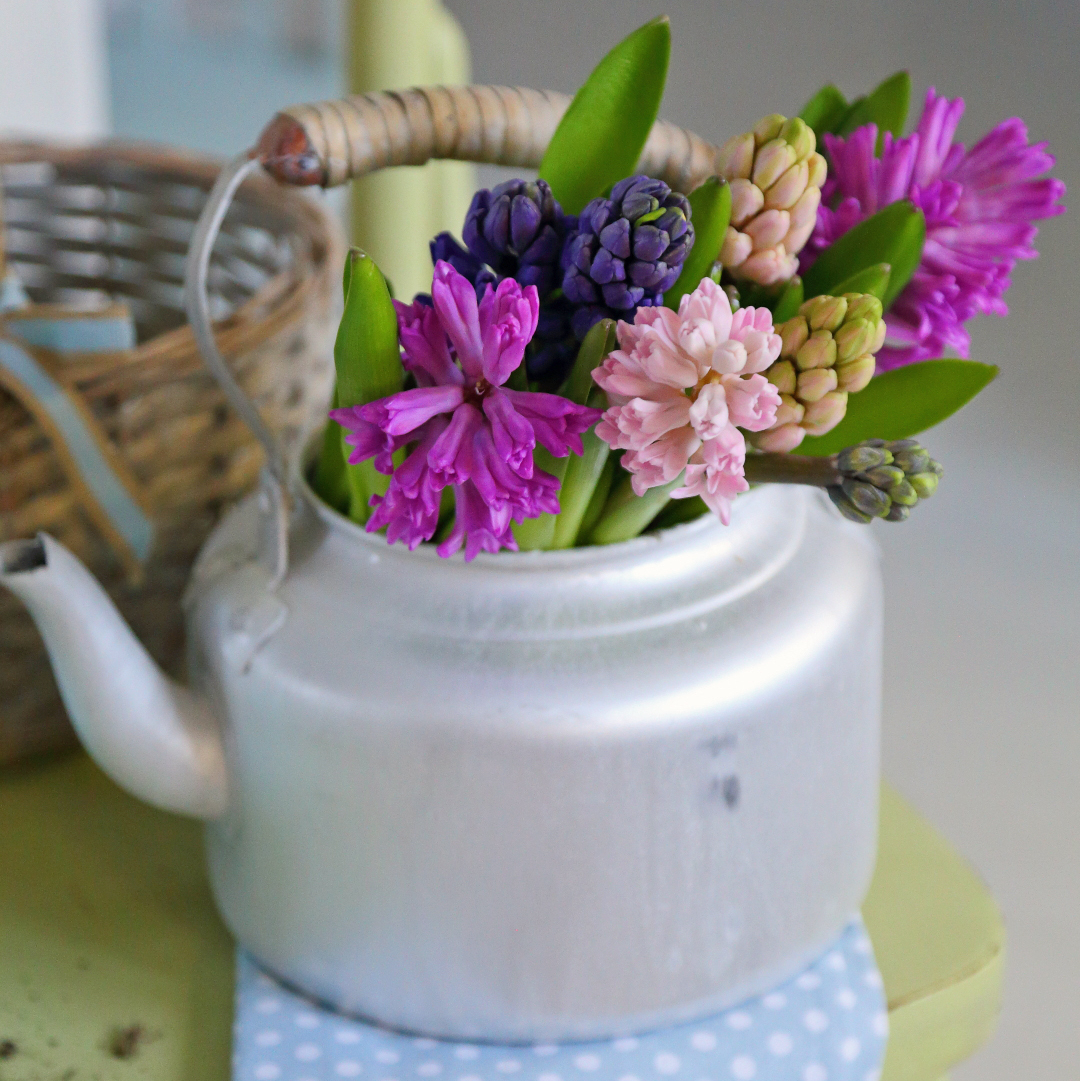 Чайник декоративний оцинкований 26см Canea