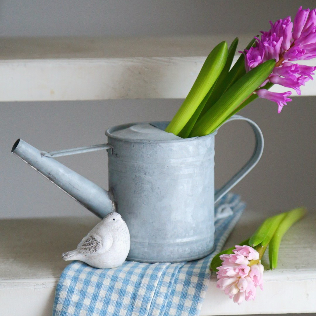 Лійка 0,8л оцинкована Canea