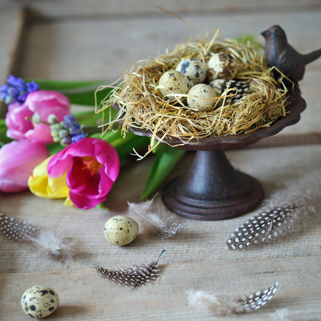 Поїлка для птахів металева 14см з 1-єю пташкою Canea