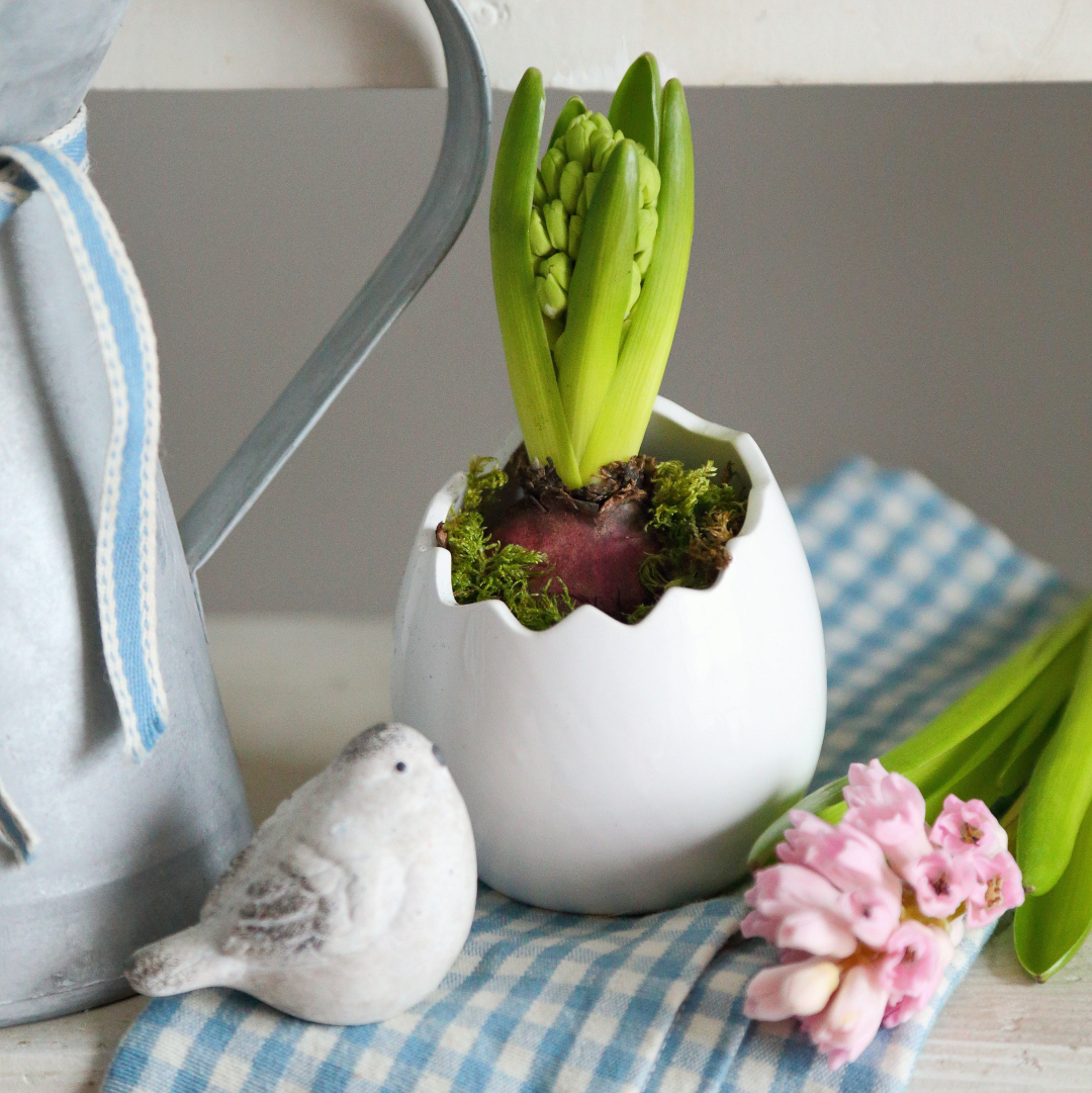 Горщик "Бите яйце" білий 11см Canea