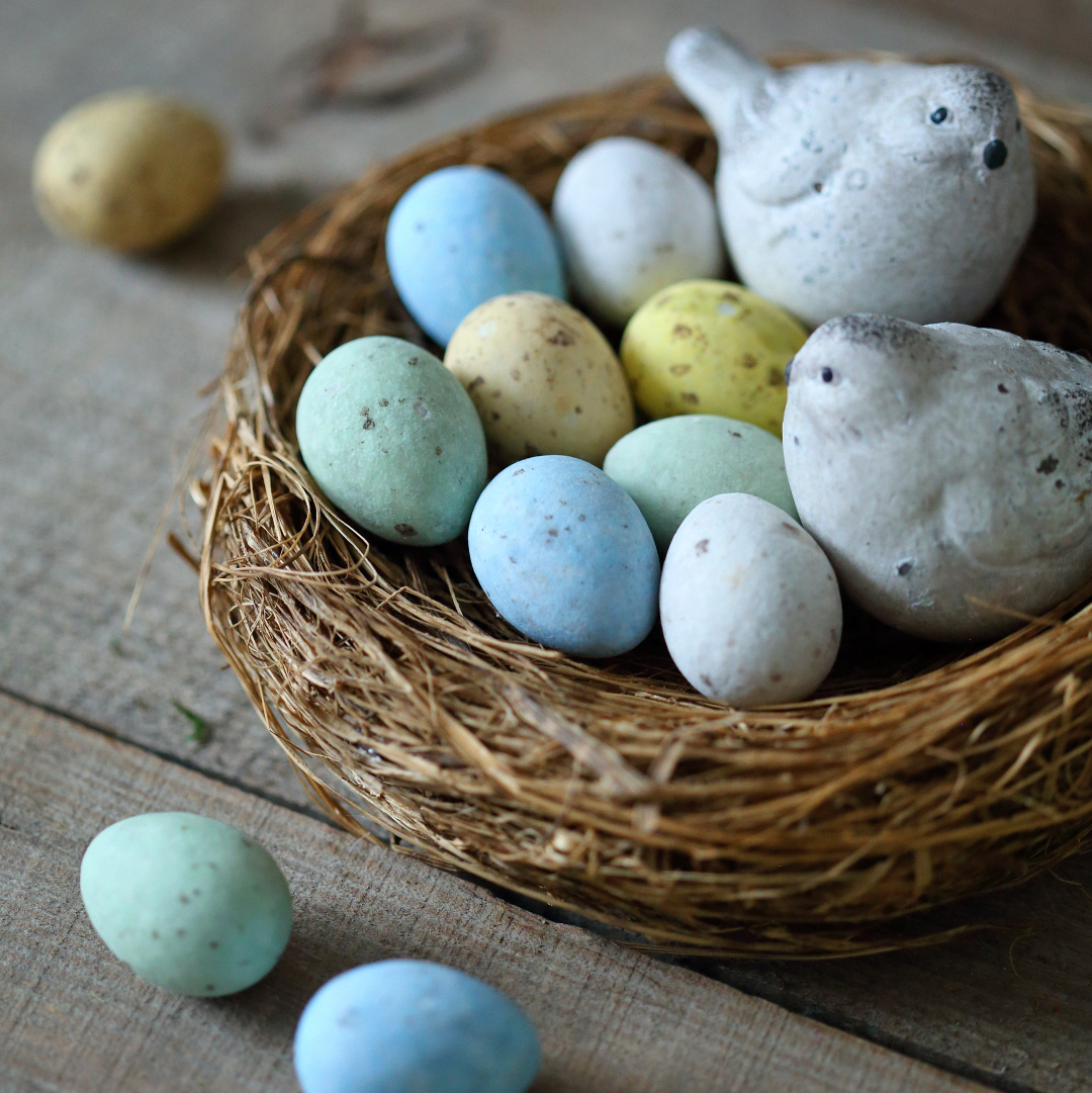 Гніздо декоративне 20см Canea