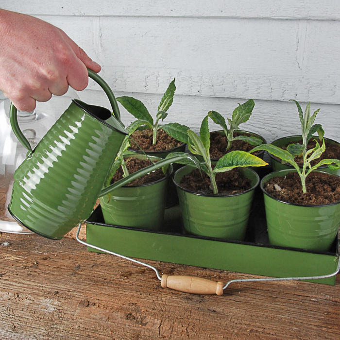 Лійка 1л зелена Canea