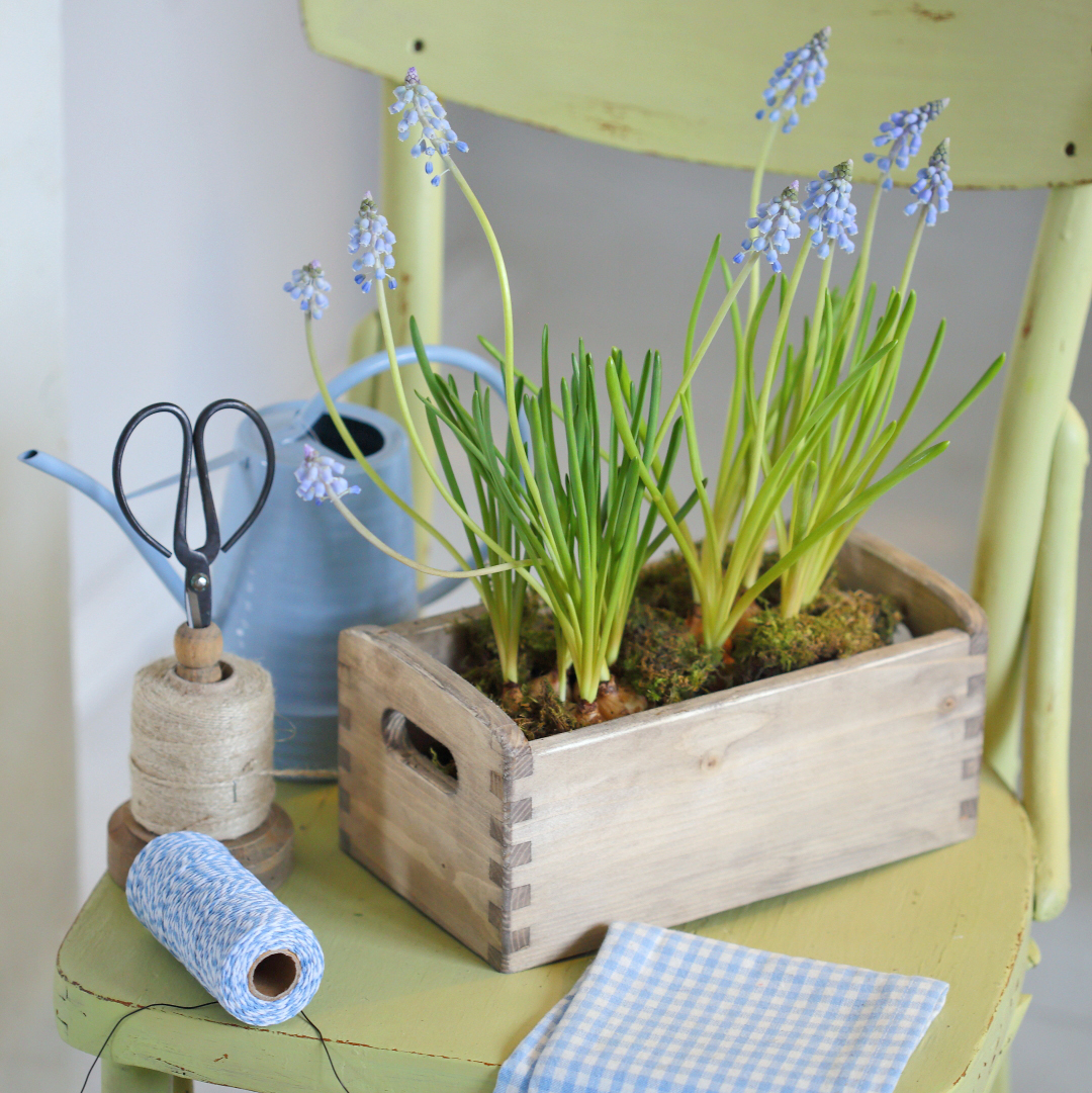 Ящичок зістарений прямокутний 14х24cм DreamWood