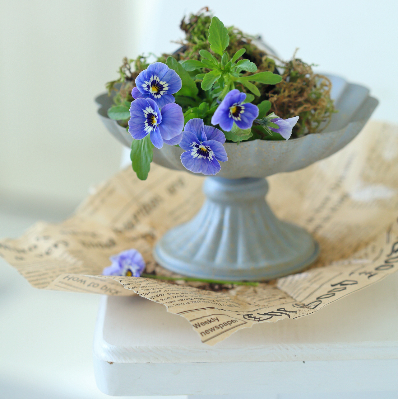 Підставка 16см металева на ніжці Canea