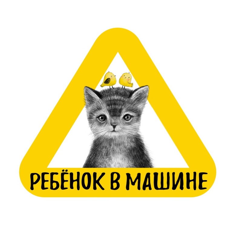 Обезьянка на машине