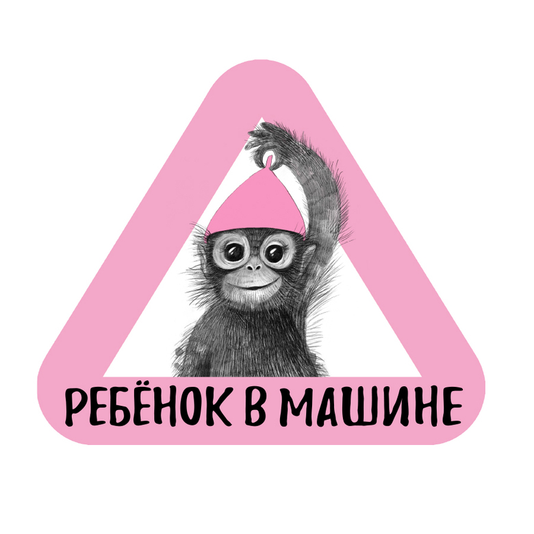 Обезьянка на машине