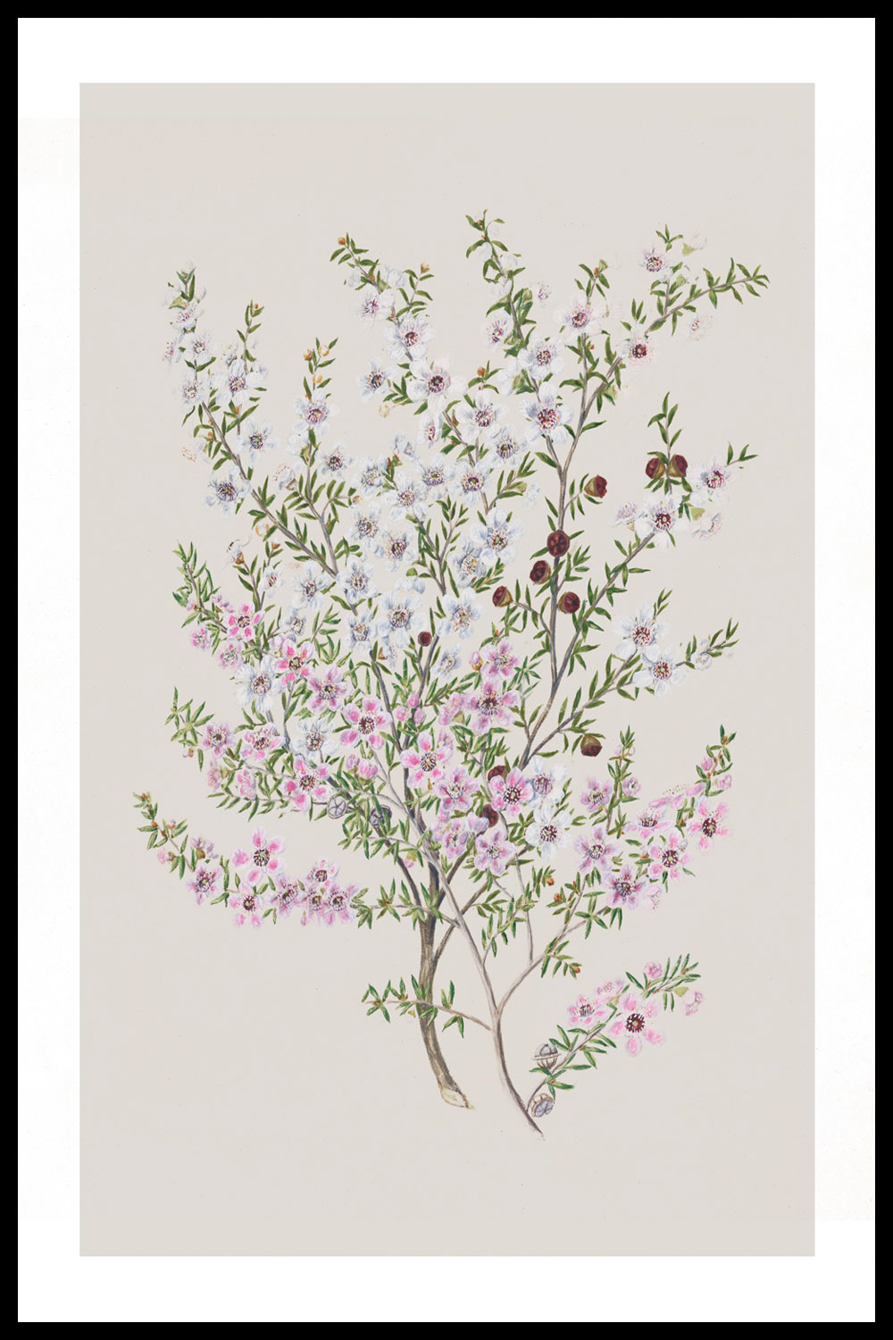 Картины-постеры на тему ботаника [цветы, растения] - Магазин постеров Милота
