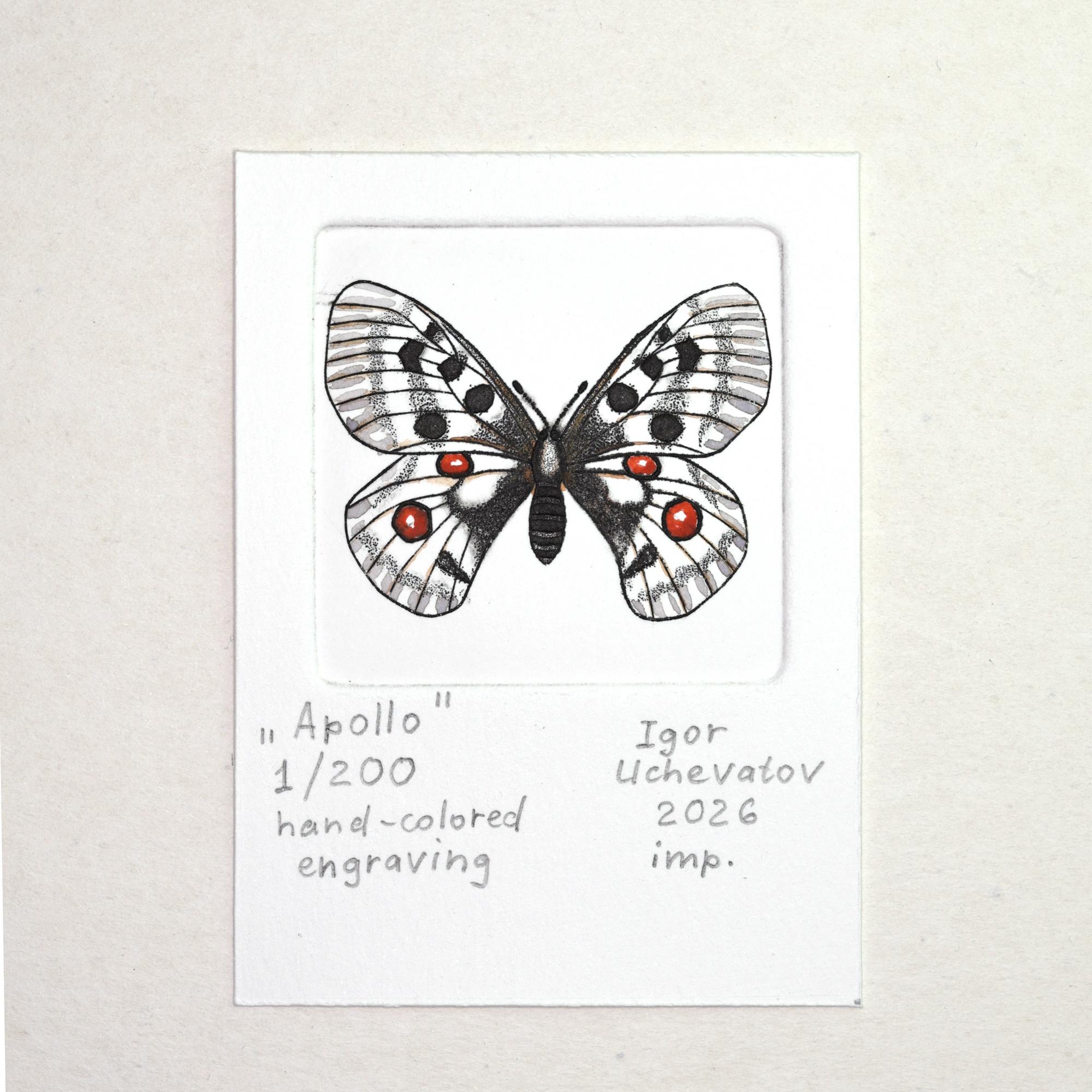 "Apollo" hand-colored intaglio print
