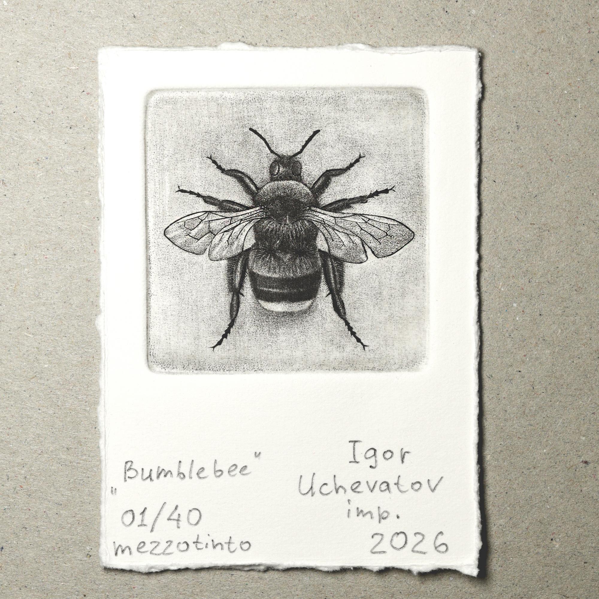 "Bumblebee" mezzotint print