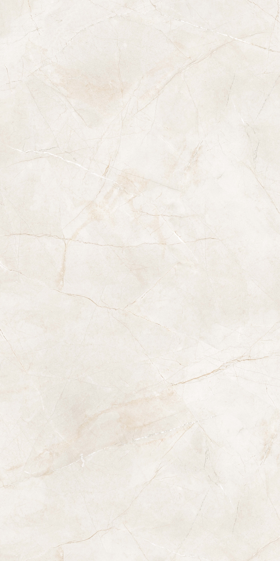 PULPIS IVORY