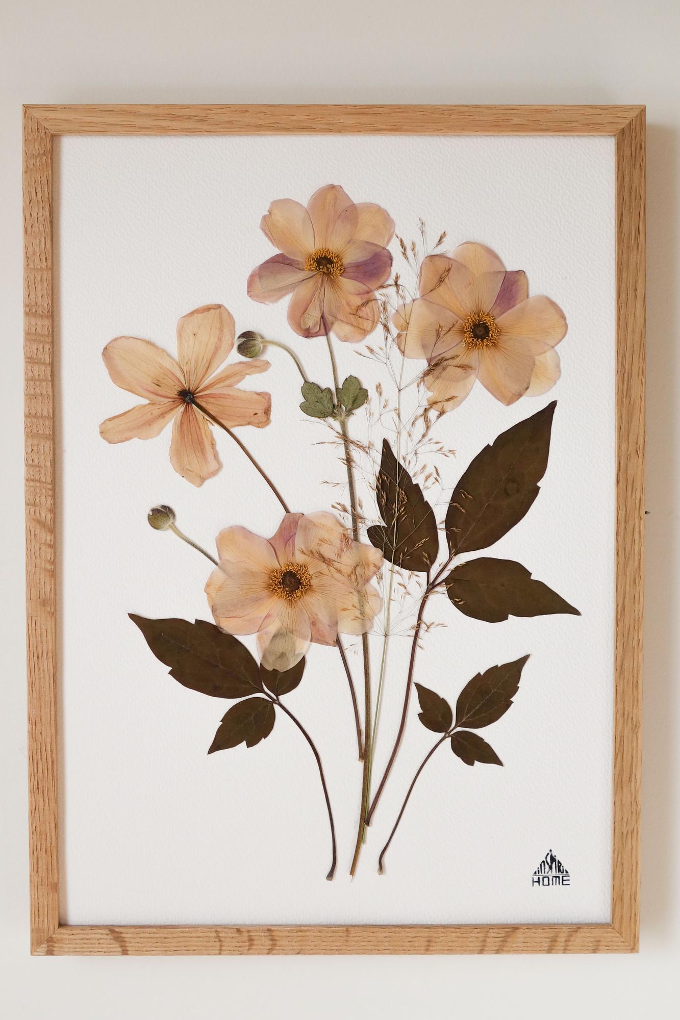 Herbier Confiance
