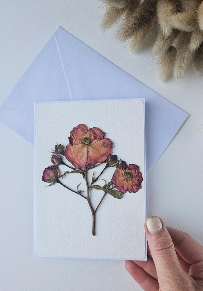 Carte postale poésie