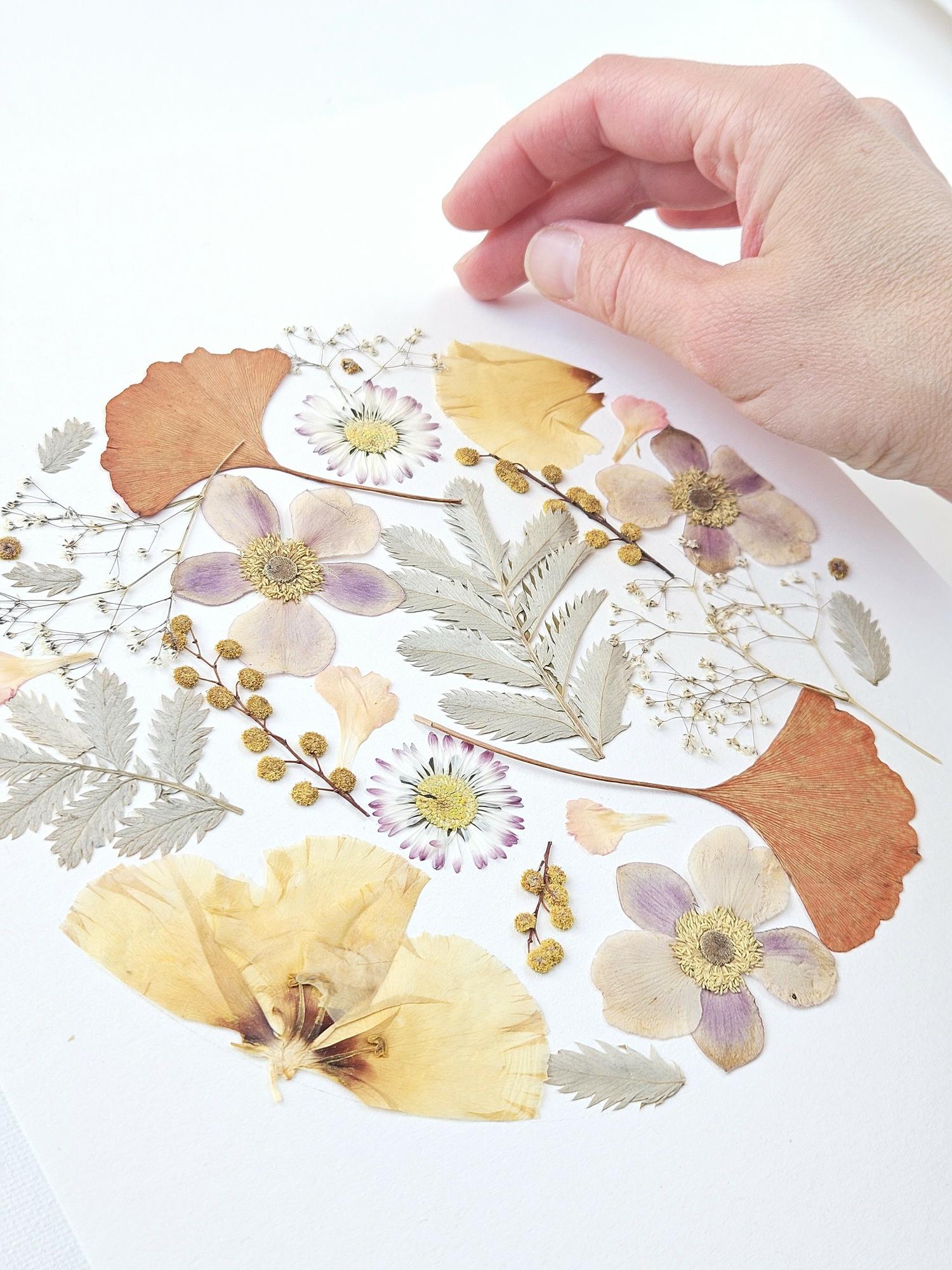 Herbier rond harmonie