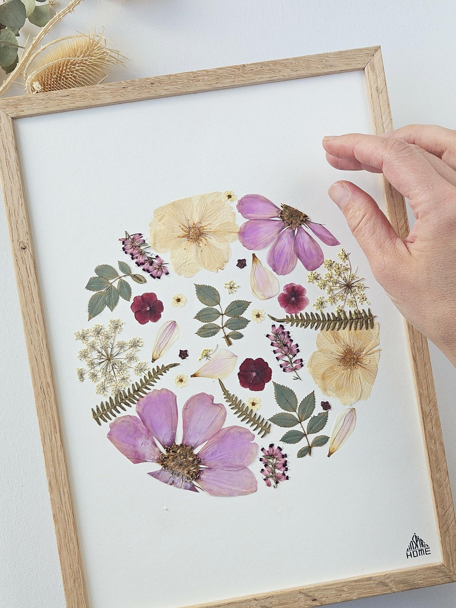 Herbier rond rose