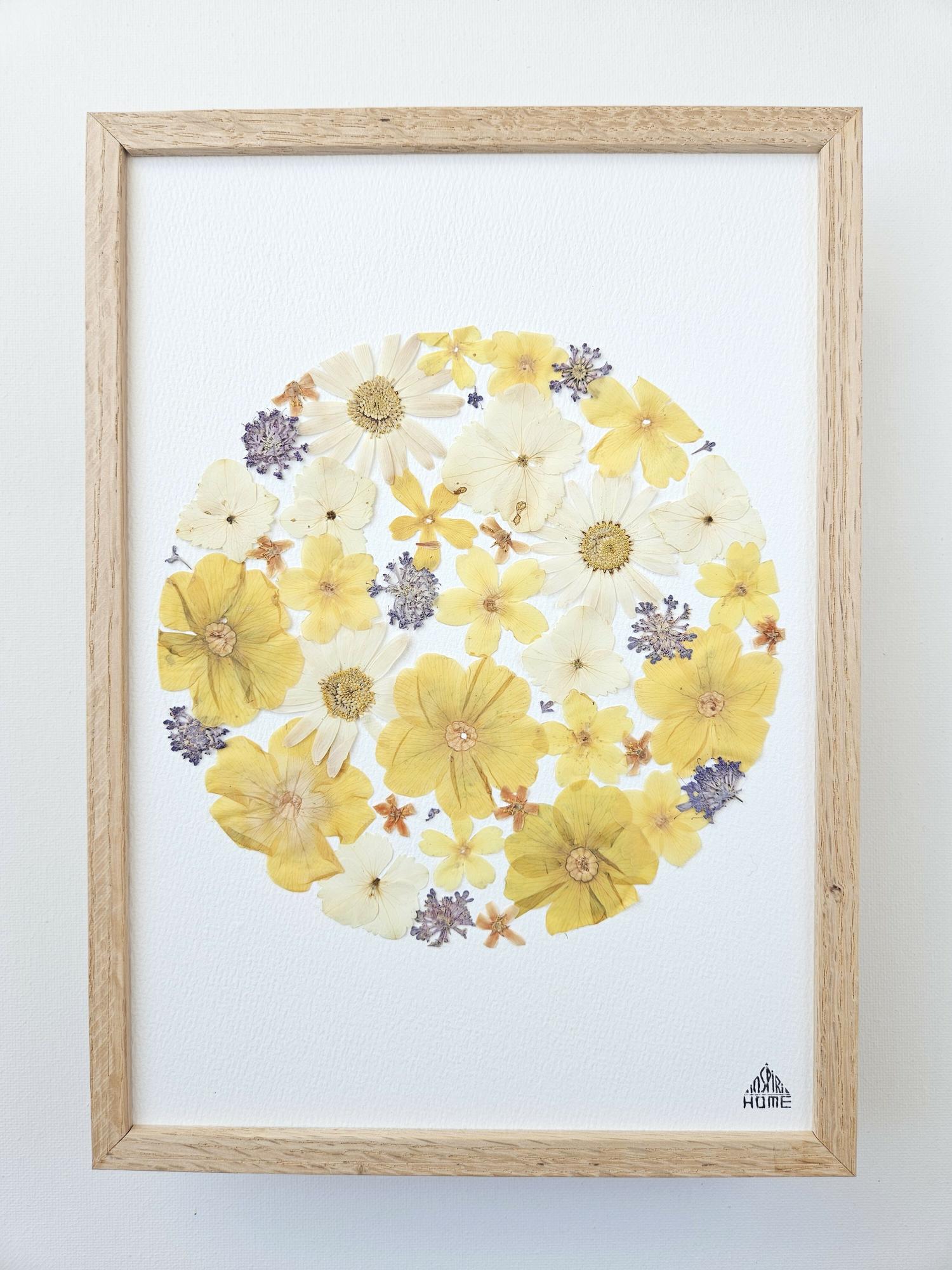 Herbier soleil jaune
