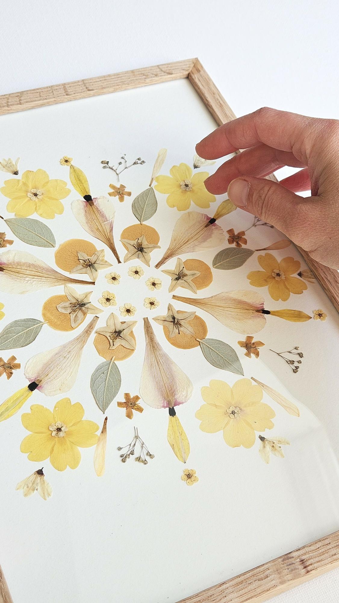 Herbier mandala