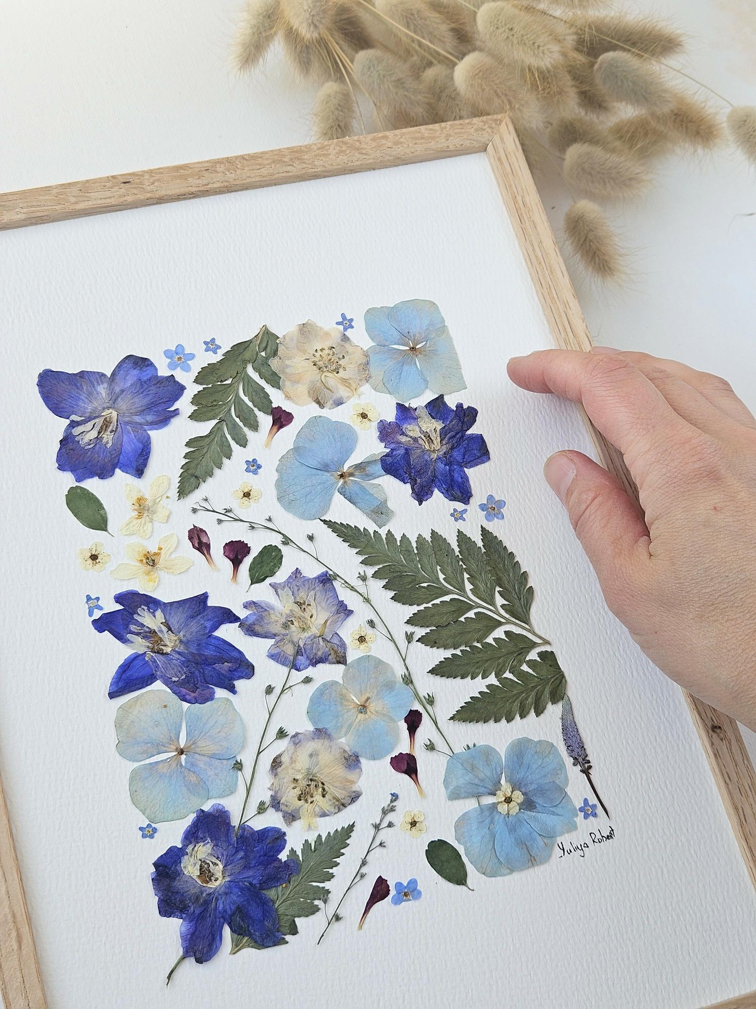 Herbier la mer bleue