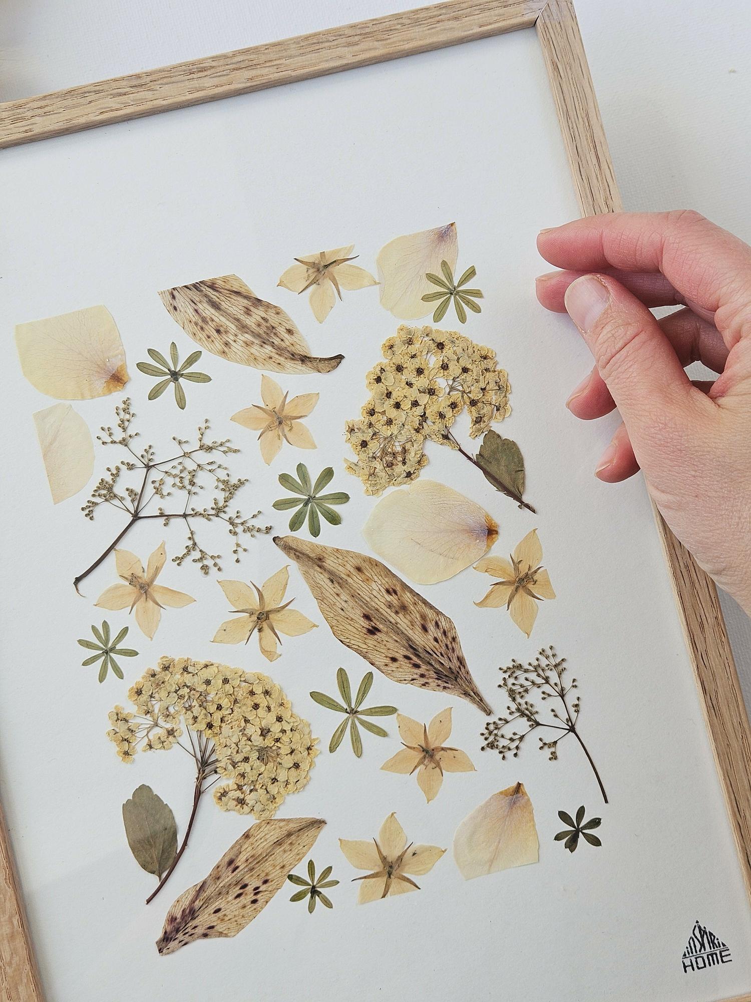 Herbier Beige