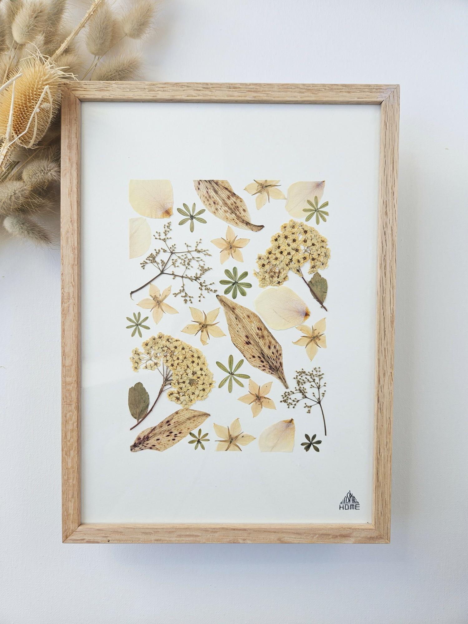 Herbier Beige