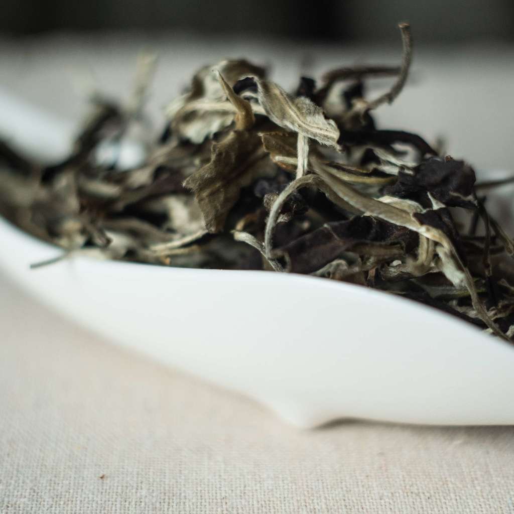 Білий чай  Юе Гуан Бай