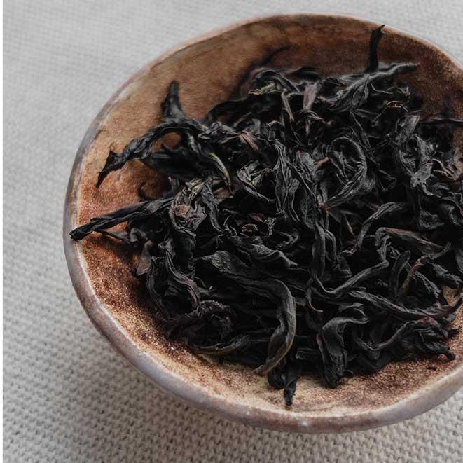 Ци Лань улун, 2024 рік