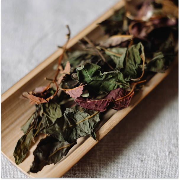 Білий чай Юе Гуан Бай з фіолетової сировини, 2025 рік