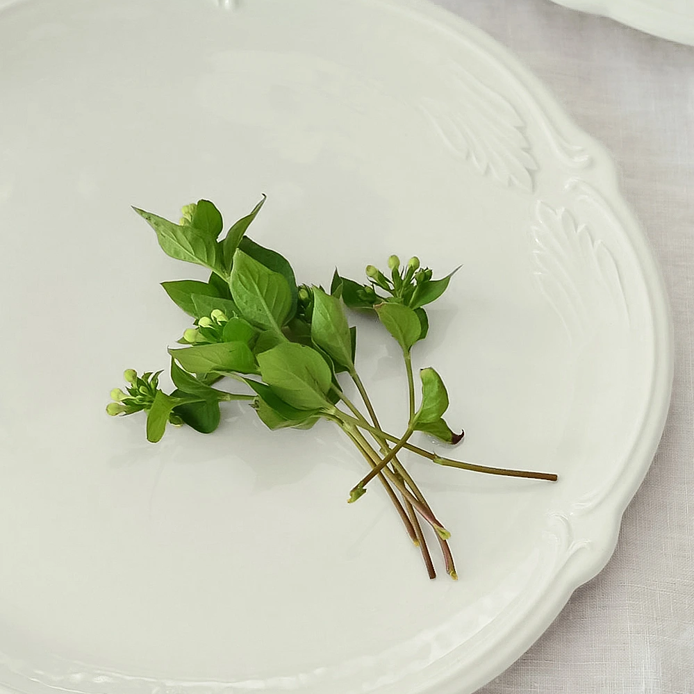 ROCAILLE BLANC Блюдо для торта 34,2 см; GIEN