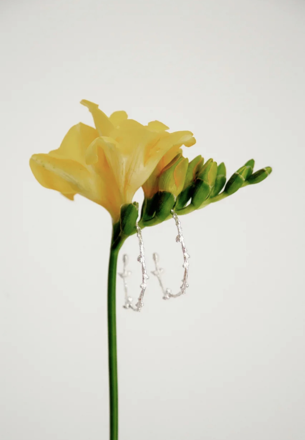 Серьги "Конго" , серебро 925