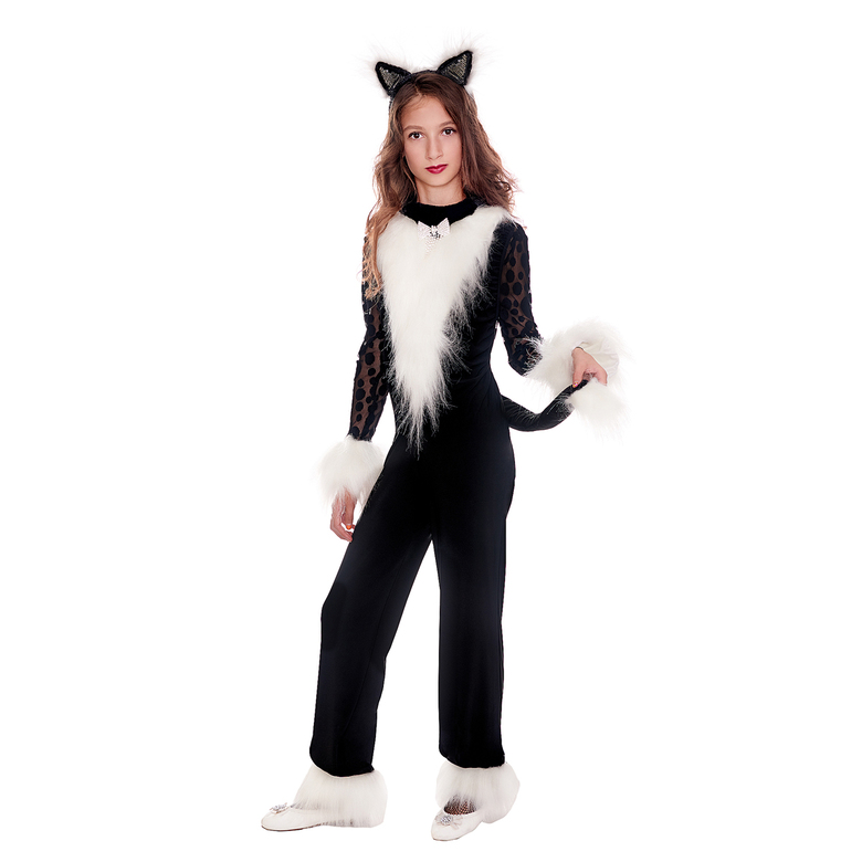 КОШКА ВЗРОСЛАЯ